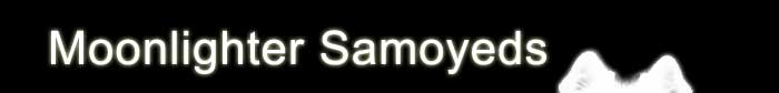 Moonlighter Samoyeds
